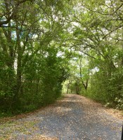 55E1A55B-FC8E-47E7-A219-5DBF0DA828BE