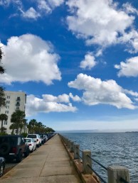 877BF6F5-91E3-4B7E-86FC-324CB51DDF8A